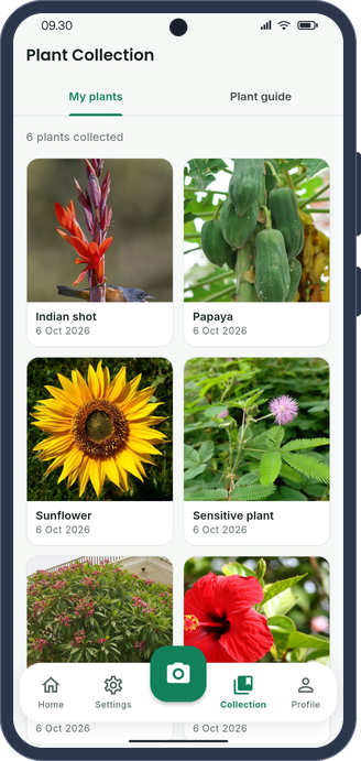 PANDAI saved plant collection