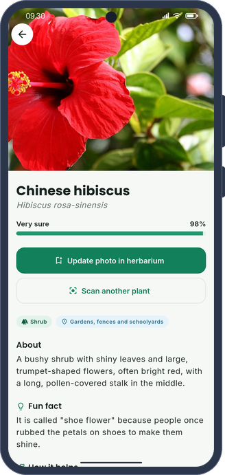 PANDAI plant identification result